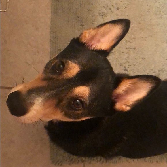 Meet your Posher, Ashley - Picture 1 of 1